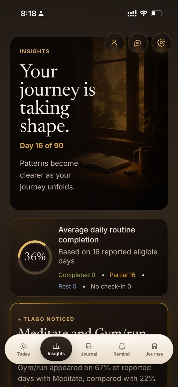 TlaGo Insights screen showing journey patterns.